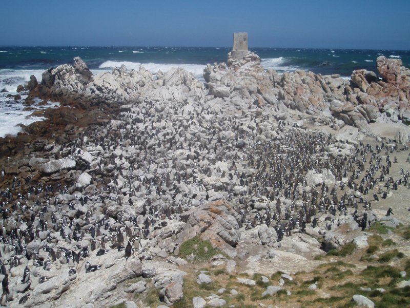 KeHa_in_South_Africa - 169